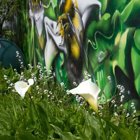 Feriehus Doorly Park Sligo