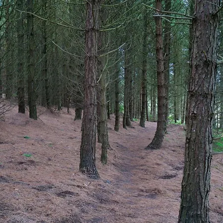 Doorly Park Feriehus Sligo