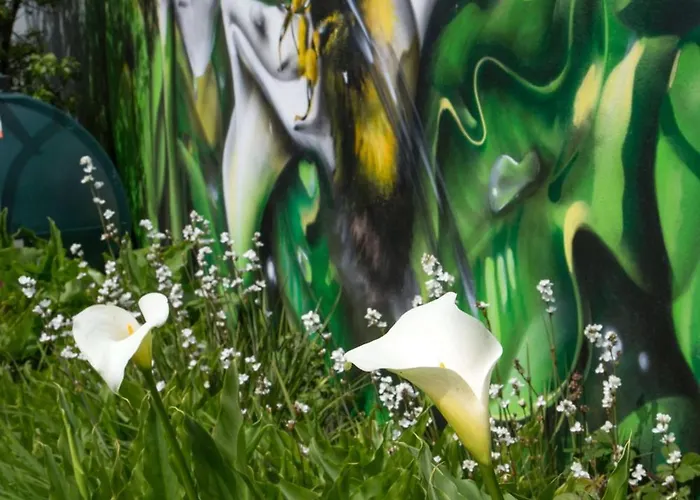 Сasa de vacaciones Doorly Park Sligo