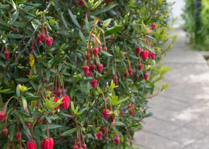 Doorly Park Сasa de vacaciones