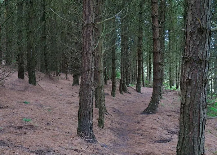 Doorly Park Сasa de vacaciones Sligo